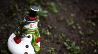 Der Dezember zeigt sich derzeit ungewöhnlich mild. Die Chance auf weiße Weihnachten schwindet.