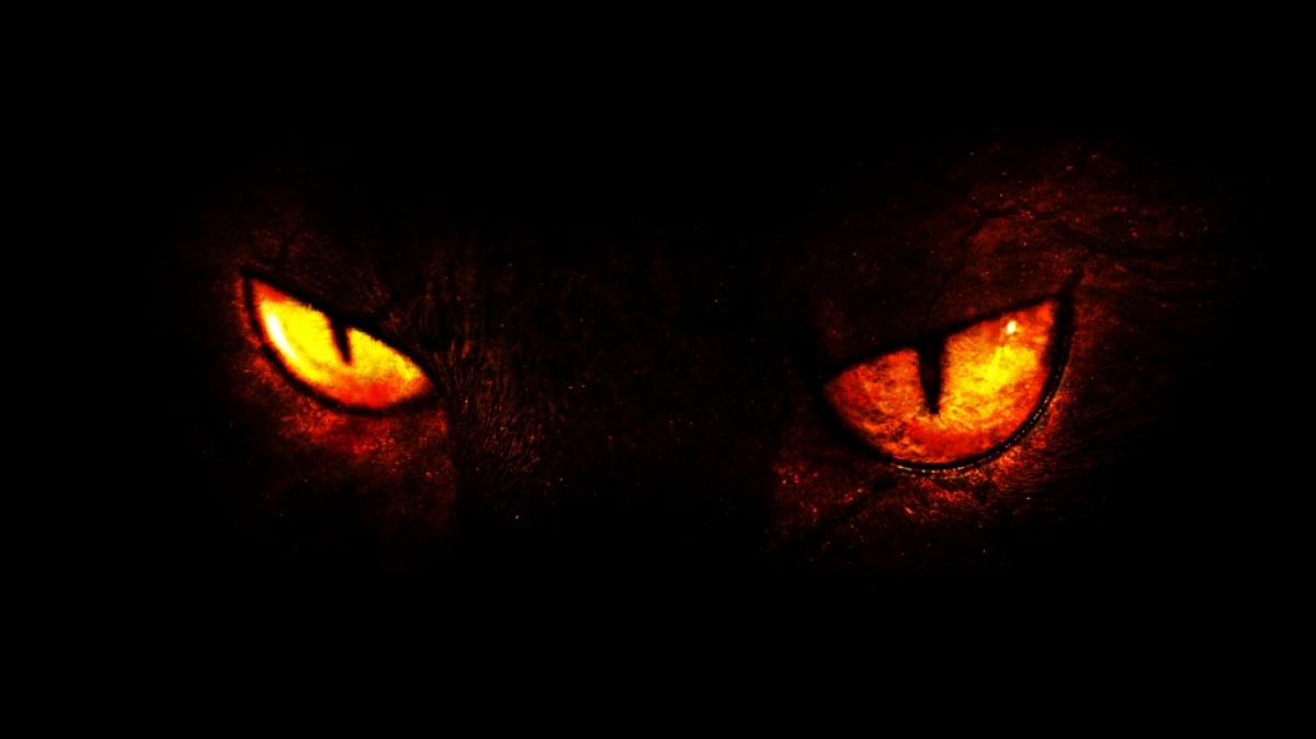 Ein Exorzist warnt vor der "D&auml;monenkatze" Pixel. Er ist sicher: Das Tier ist vom Teufel besessen (Foto)