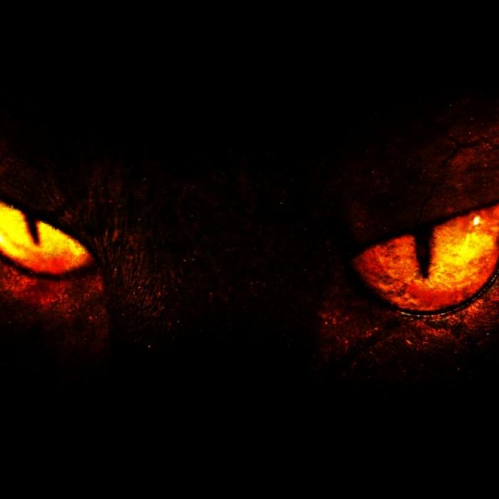 Exorzist warnt vor Kater: Teufel benutzt Tier als Marionette
