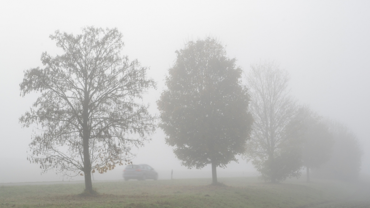 Der DWD warnt vor m&ouml;glichem Nebel (Symbolbild). (Foto)