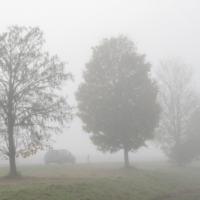 Der DWD warnt vor möglichem Nebel (Symbolbild).