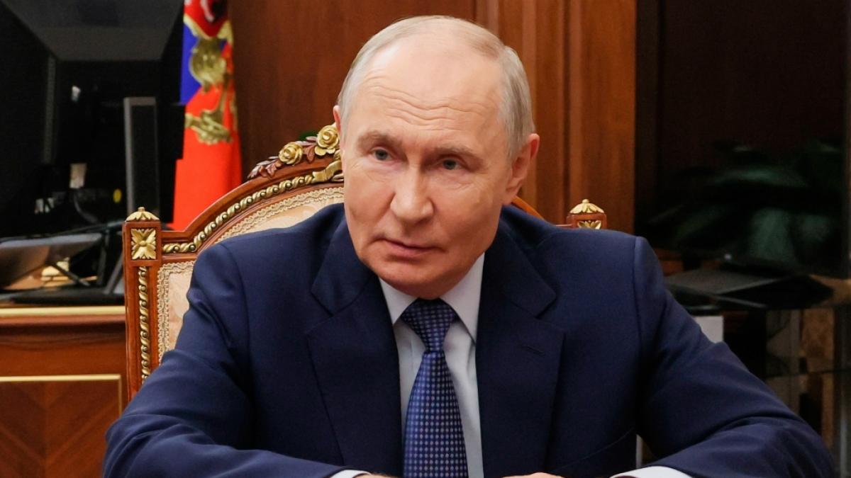 T&ouml;dliche B&auml;ren-Attacken eskalieren &ndash; Putin plant radikale Ma&szlig;nahmen. (Foto)