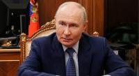 Tödliche Bären-Attacken eskalieren – Putin plant radikale Maßnahmen.