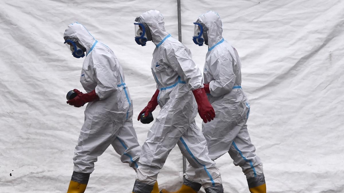 Wird der Vogelgrippe-Erreger H5N1 in Gefl&uuml;gelfarmen nachgewiesen, wird nicht selten der gesamte Tierbestand gekeult. (Foto)