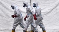 Wird der Vogelgrippe-Erreger H5N1 in Geflügelfarmen nachgewiesen, wird nicht selten der gesamte Tierbestand gekeult.