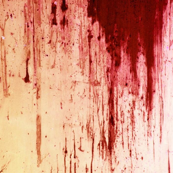 Deutsche Auswanderer tot, Model zerstückelt, Mädchen von Zug überrollt