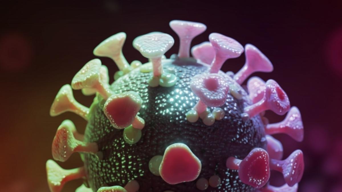 Zahlreiche Fake-News zum Coronavirus machen in den sozialen Netzwerken die Runde. (Foto)