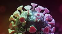 Zahlreiche Fake-News zum Coronavirus machen in den sozialen Netzwerken die Runde.