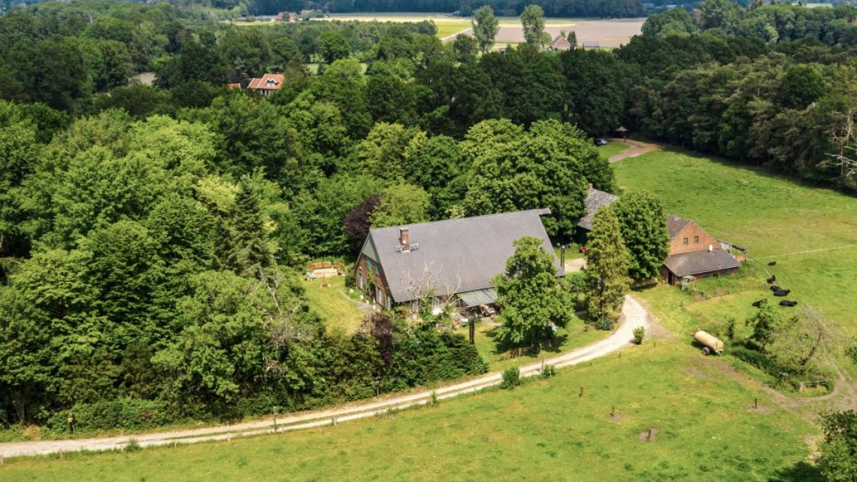 Im "Sommerhaus der Stars" 2020 geht's hoch her: Ein Paar wirft in Folge 5 freiwillig das Handtuch, ein neues Duo zieht in die Krawall-WG. (Foto)