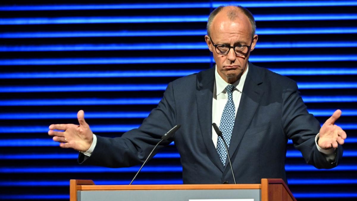 Friedrich Merz zieht rote Linie f&uuml;r Koalition mit SPD. (Foto)
