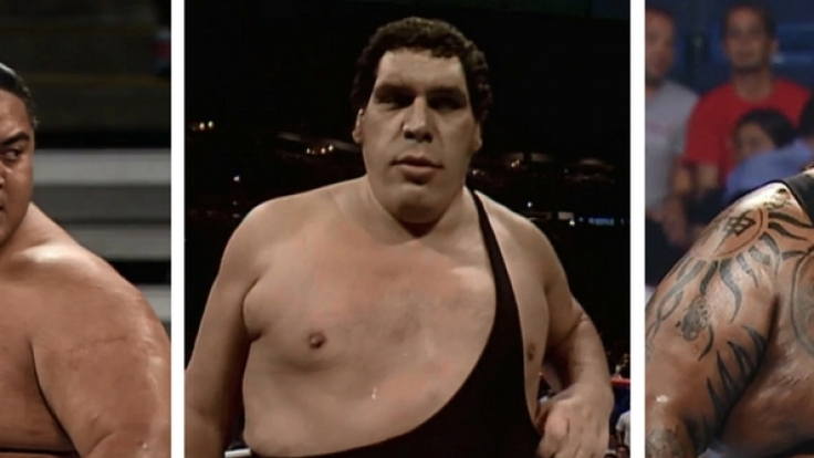 DIESE Fleischberge standen bei World Wrestling Entertainment im Ring.