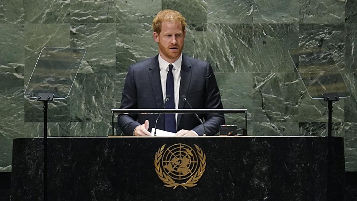 Prinz Harry k&ouml;nnten diese Royal-B&uuml;cher zum Verh&auml;ngnis werden. (Foto)