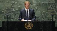 Prinz Harry könnten diese Royal-Bücher zum Verhängnis werden.