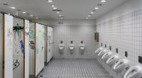 Der Täter verschaffte sich Zugang zu den Schultoiletten.