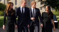 Vereinzelten gemeinsamen Auftritten zum Trotz hängt der Haussegen bei den jungen Royals seit geraumer Zeit gewaltig schief.