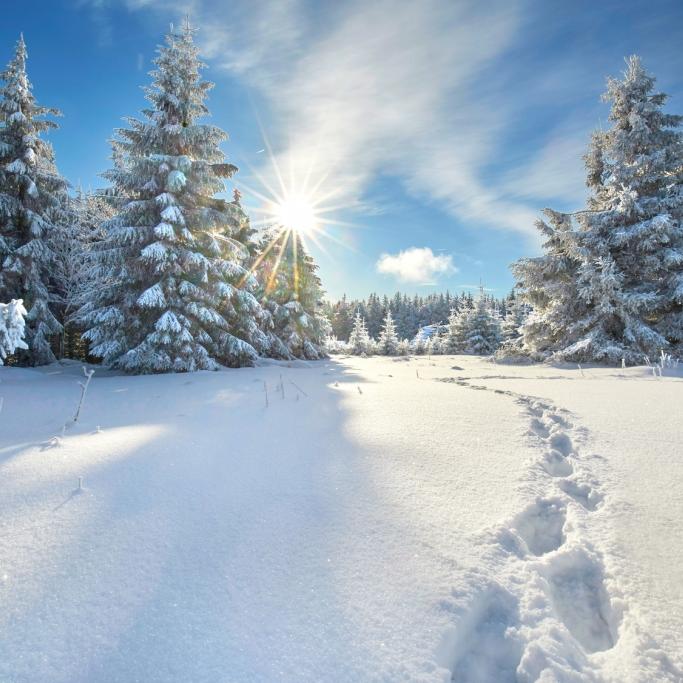 Schnee an Heiligabend? So wird der Winter