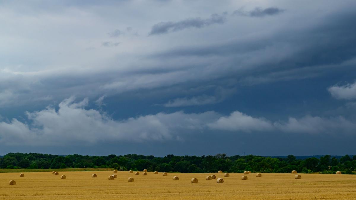 Nach dem Unwetter-Wochenende schickt der Himmel lokal &uuml;ber 80 Liter Regen pro Quadratmeter &ndash; doch ausgerechnet an Rhein und Elbe, wo historische Tiefst&auml;nde die Schifffahrt lahmlegen, wird davon so gut wie nichts ankommen. (Foto)