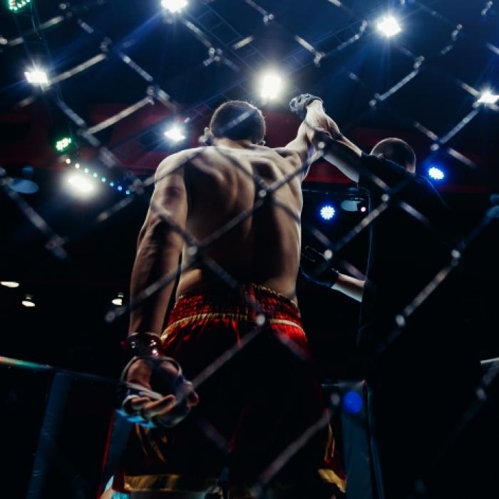Volkanovski schlägt Holloway, Adesanya bewzwingt Cannonier