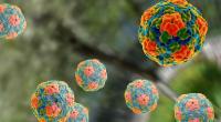 Eine Ansteckung mit Hepatitis A kann im Ernstfall sogar tödlich verlaufen.