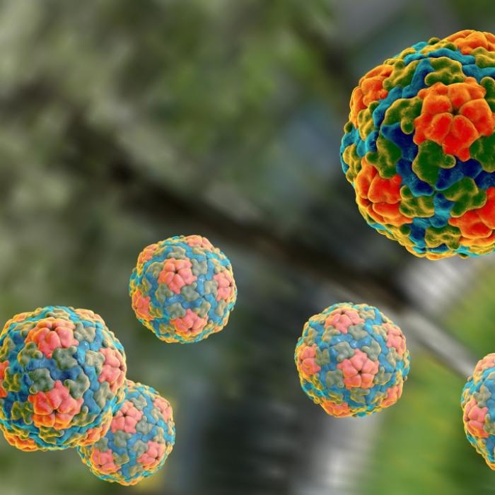 Größter Hepatitis-A-Ausbruch in Tschechien seit 36 Jahren