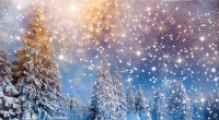Gibt es in diesem Jahr endlich wieder weiße Weihnachten?