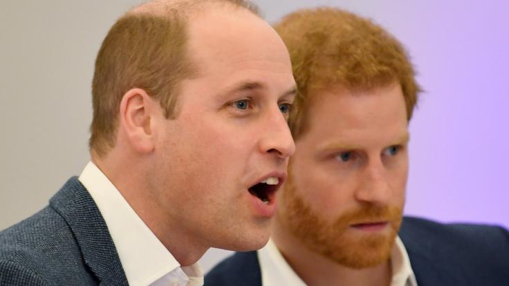 Prinz William ist von dem Verhalten seines jüngeren Bruders Prinz Harry alles andere als begeistert.