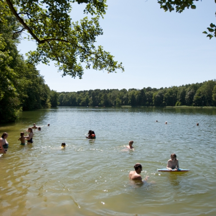 Ideale Wassertemperatur lädt zum Schwimmen in Berlin-Treptow-Köpenick ein