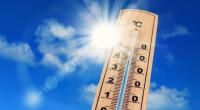 Bei Temperaturen über 36 Grad hilft nur kühlen, oder?