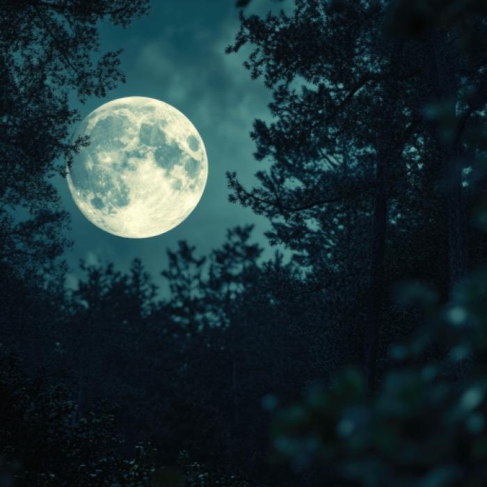 Eichenmond, Mondfinsternis und mehr – alle Termine hier im Überblick