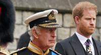 Bei König Charles III. und Prinz Harry hängt der Haussegen schief - nun bahnt sich ein Versöhnungsgespräch zwischen Vater und Sohn an, ist aus Palastkreisen zu vernehmen.