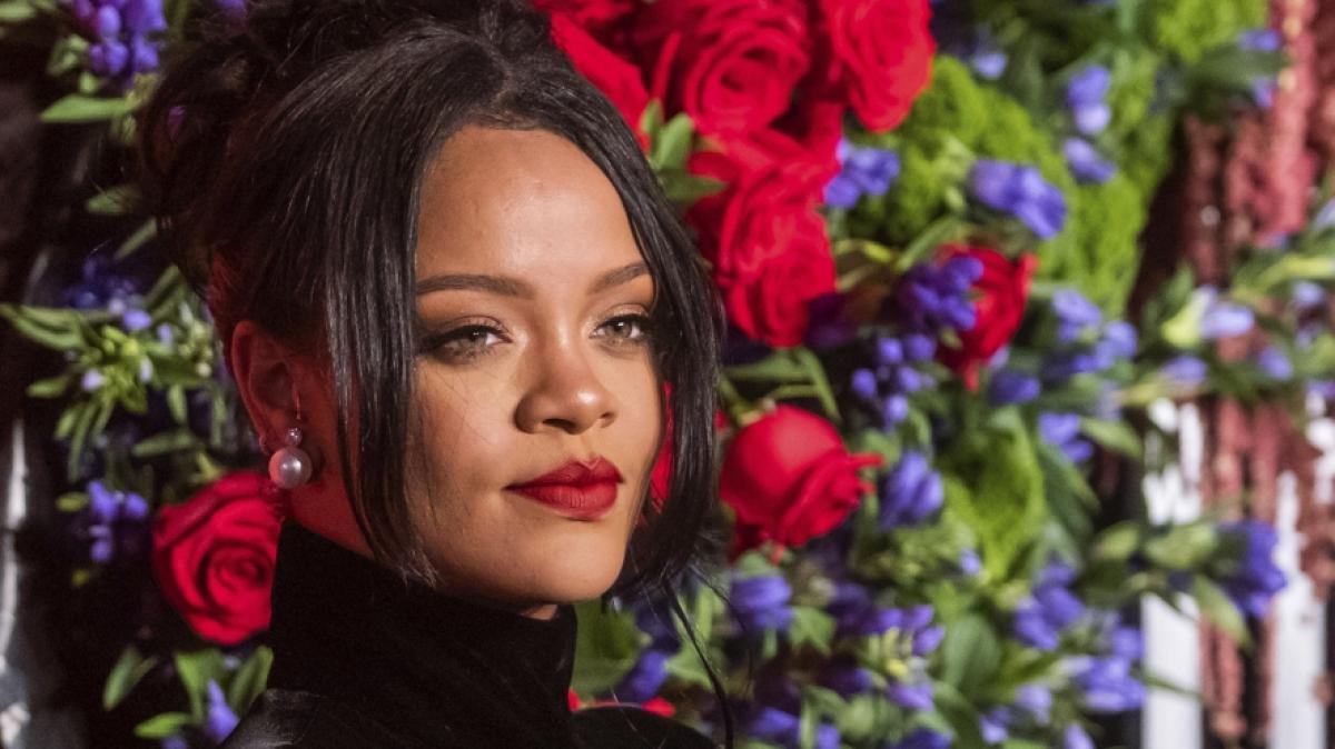 Rihanna bringt ihre Fans im Wildkatzen-Look zum Schwitzen. (Foto)