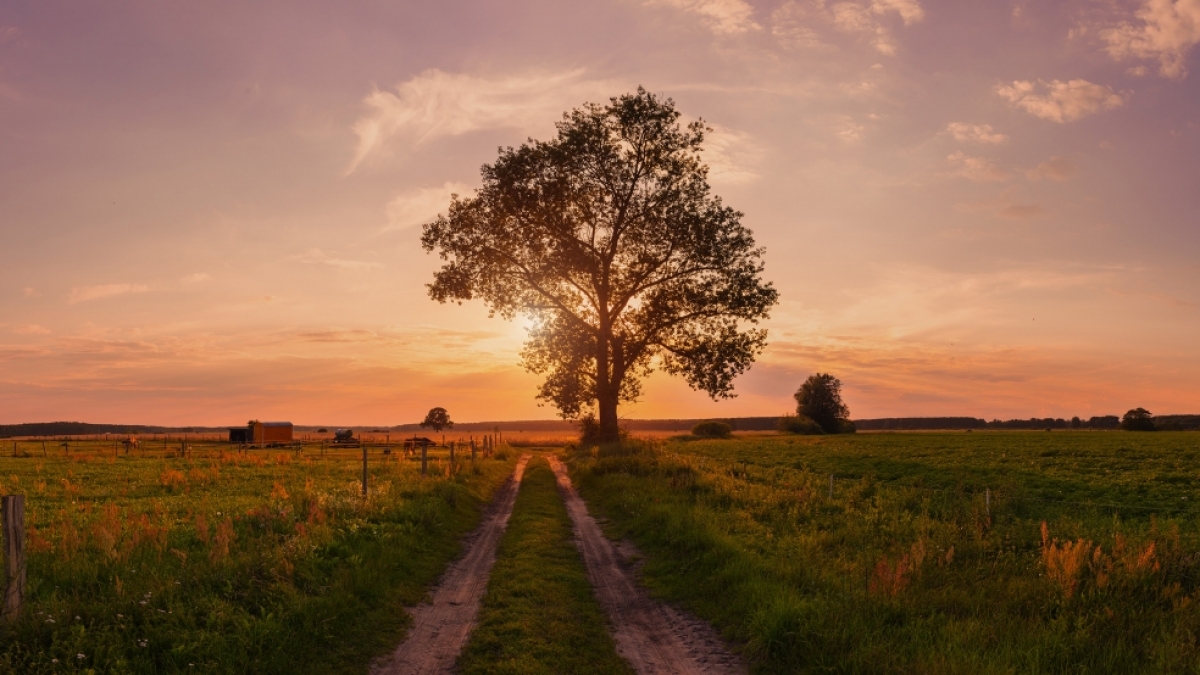 Wie wird das Wetter im ersten Herbstmonat des Jahres? (Foto)