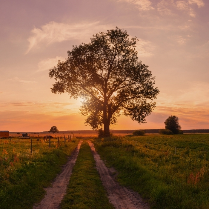 Schmuddelwetter statt Spätsommer? Das sagt der 100-jährige Kalender