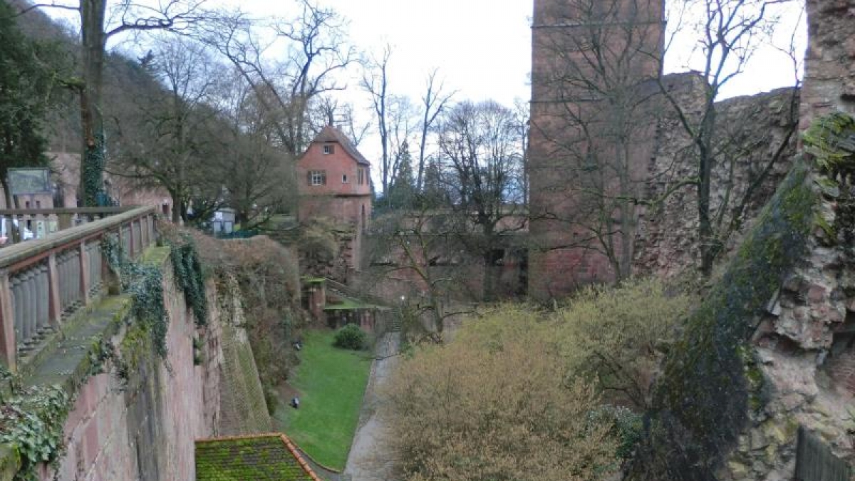 Foto: Petra Schaffrodt, dpa (Foto)