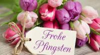 Die besten Grüße und Sprüche-Grafiken für Pfingsten auf WhatsApp und Co.