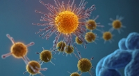 Das Immunsystem soll uns schützen und Krankheitserreger unschädlich machen (Symbolbild)