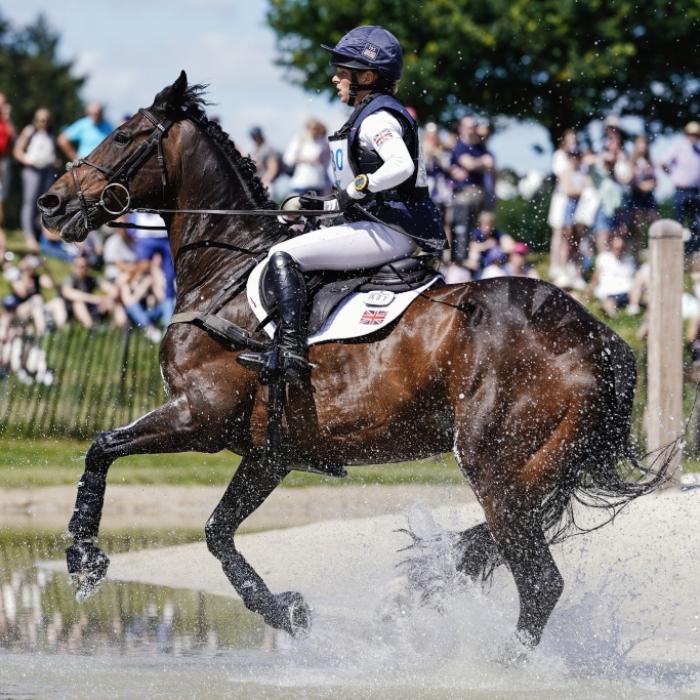 Pferd stirbt beim CHIO 2022! PETA fordert Reitsport-Verbot
