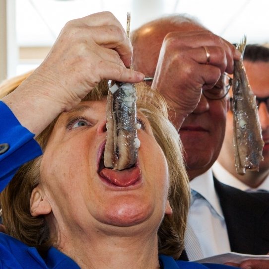 Die appetitliche Angie wird zum Internetlacher
