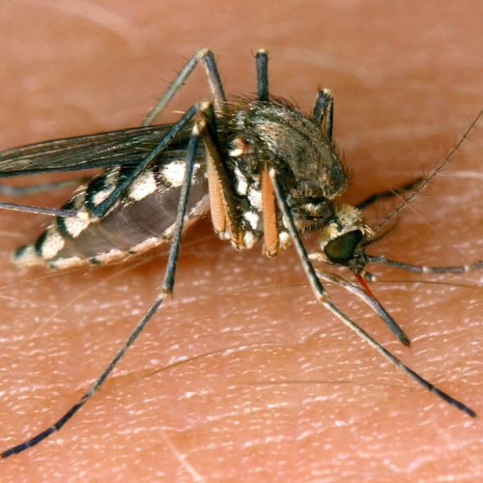Achtung! Experten warnen vor tödlichen Infektionen