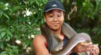 Glücksbringer? Vor einem internationalen Tennisturnier in Brisbane bekommt Naomi Osaka 2018 eine 274 cm lange Olivenpython um den Hals gelegt.