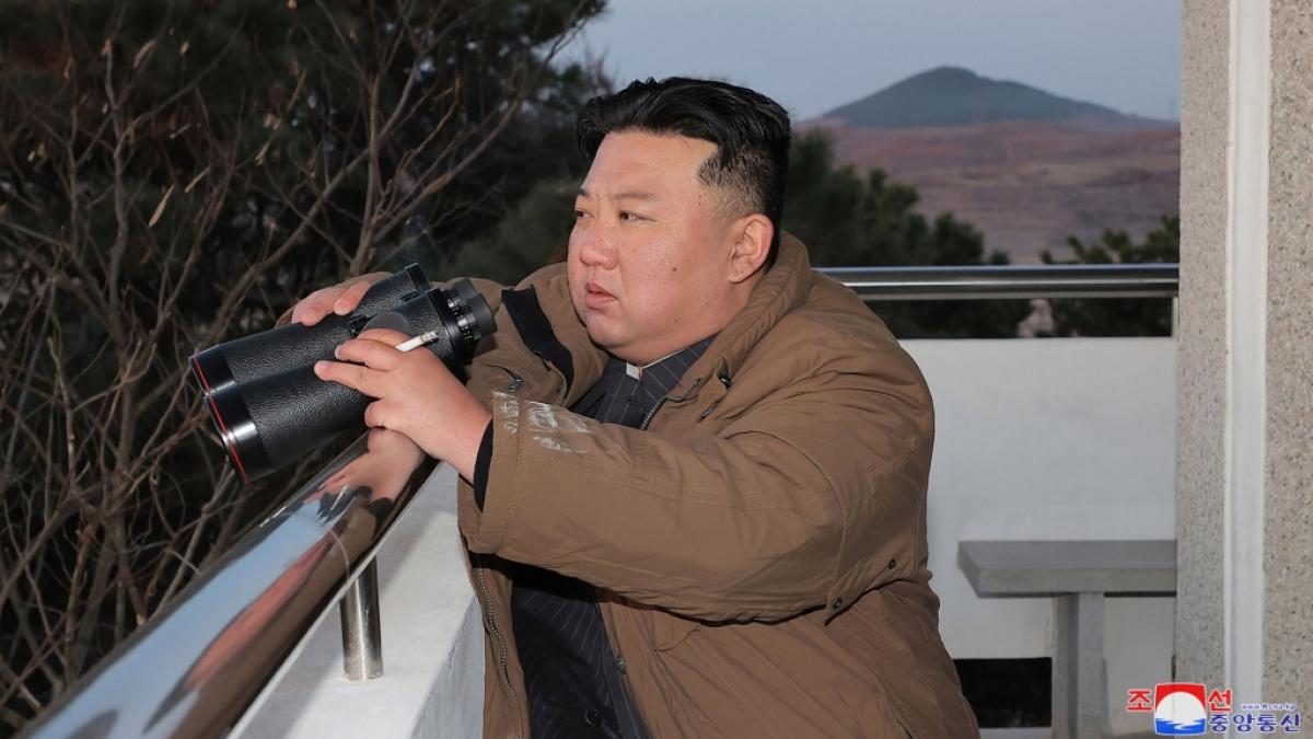 F&uuml;r sein privates "Verw&ouml;hn-Komitee" soll Kim Jong-un ganz besondere M&auml;dchen pr&auml;ferieren. (Foto)