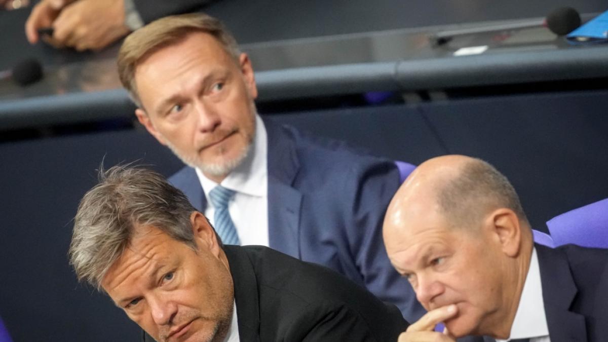 Zerbricht die Ampel-Koalition am Dauerzoff? (Foto)