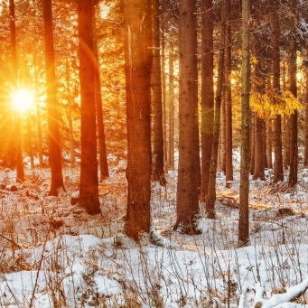 Eiskalt und regnerisch? Das sagt der 100-jährige Kalender