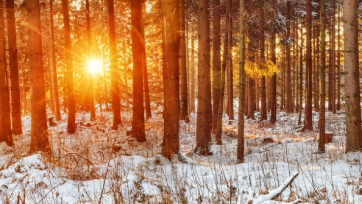 Wie das Wetter im Februar 2017 werden könnte, verrät der Hundertjährige Kalender.
