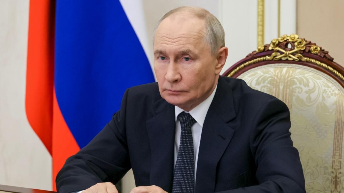 Wladimir Putin wird f&uuml;r seinen tierischen Vergleich mit dem Ukraine-Krieg scharf kritisiert. (Foto)