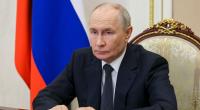 Wladimir Putin wird für seinen tierischen Vergleich mit dem Ukraine-Krieg scharf kritisiert.