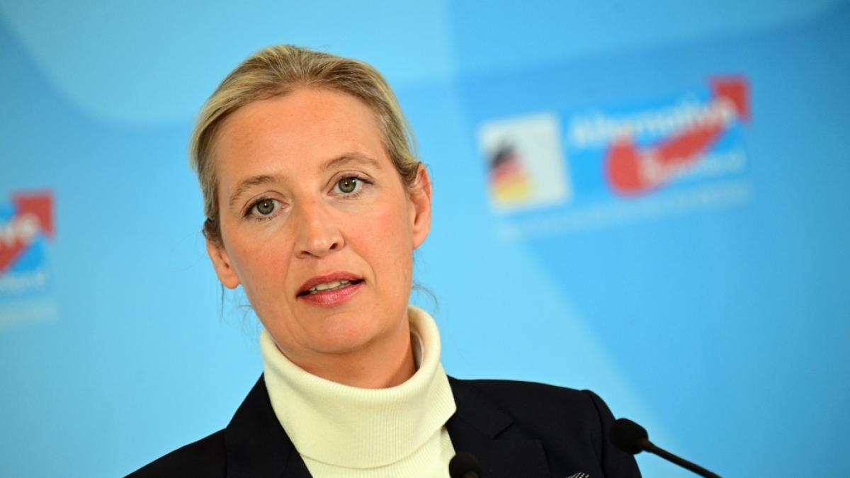 AfD-Chefin Alice Weidel erlebt ein &uuml;berraschendes Umfrage-Debakel. (Foto)
