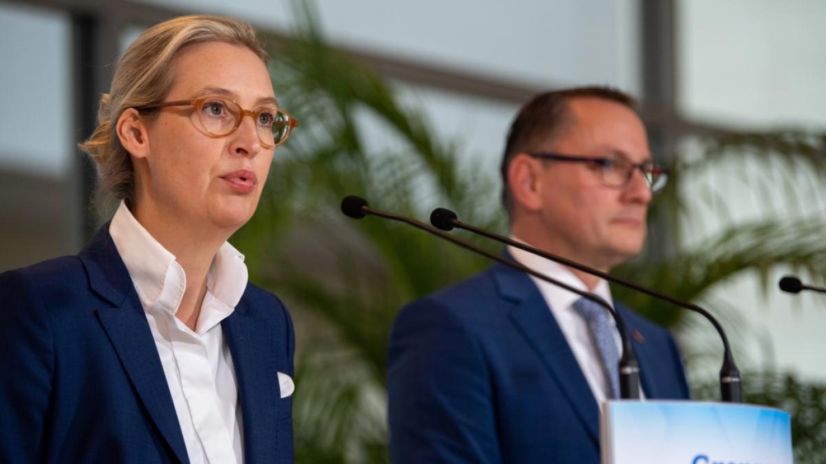 AfD-Bundesvorsitzende Alice Weidel und Tino Crupalla st&uuml;rzen mit ihrer Partei in einer neuen Umfrage wieder ab. (Foto)