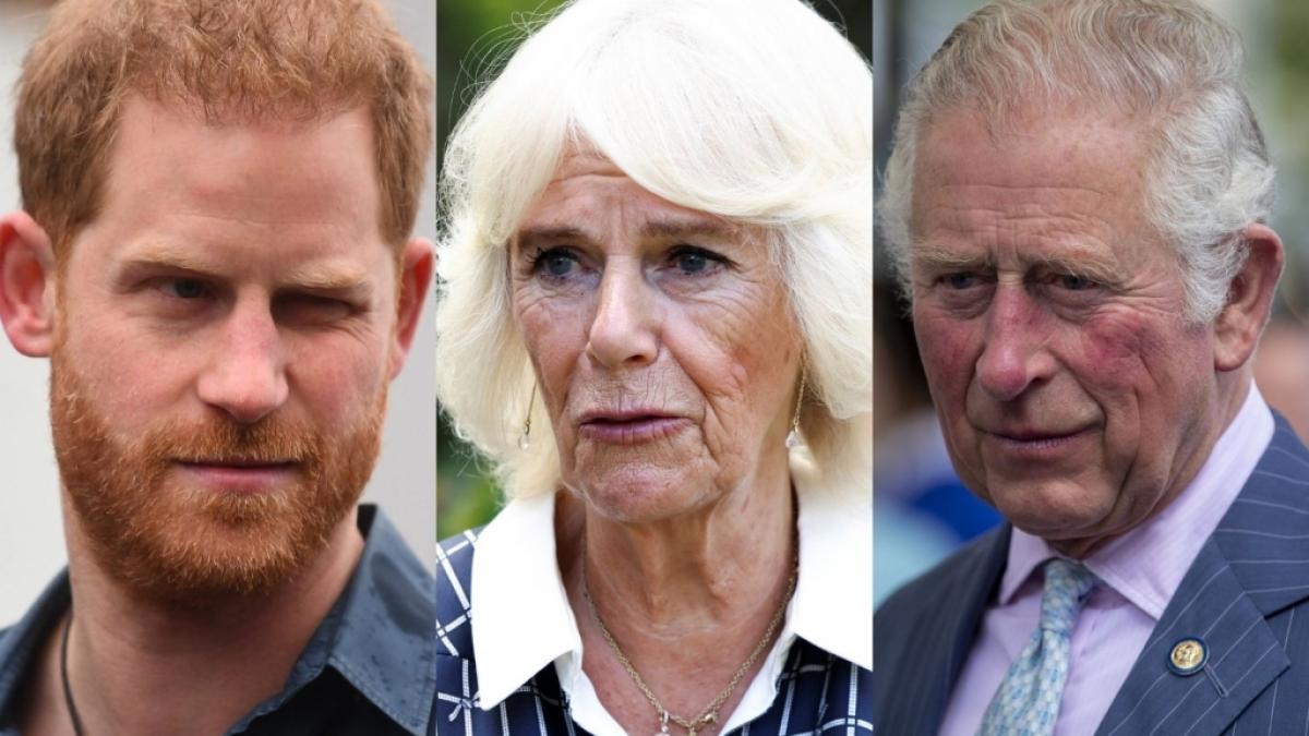 Die eine oder andere Schlagzeile lie&szlig; die Royals in dieser Woche staunend zur&uuml;ck. (Foto)
