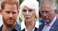 Die eine oder andere Schlagzeile ließ die Royals in dieser Woche staunend zurück.